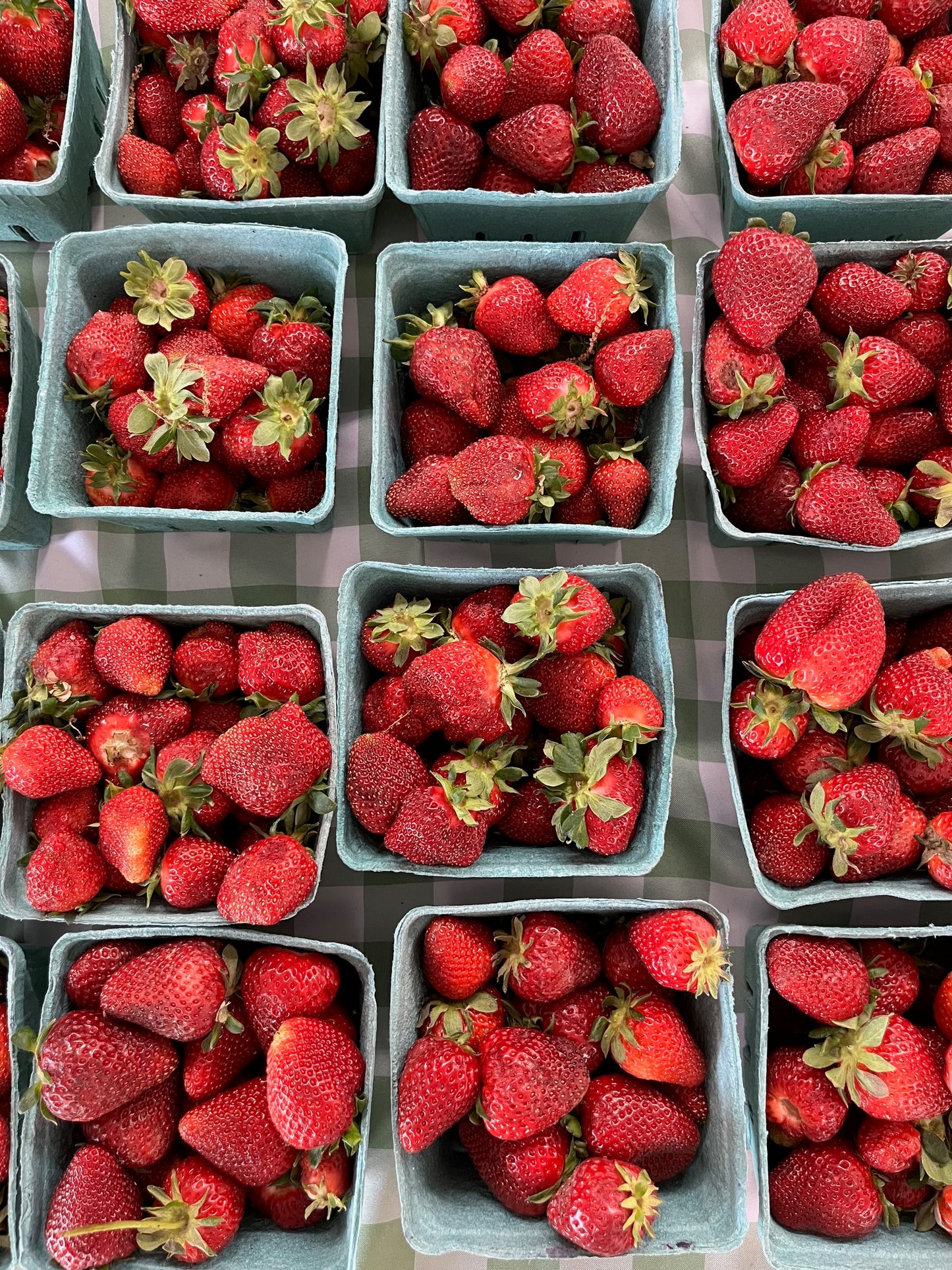 One Quart of Strawberries